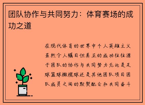 团队协作与共同努力：体育赛场的成功之道